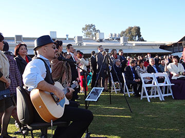 Musician plays on guitar at wedding