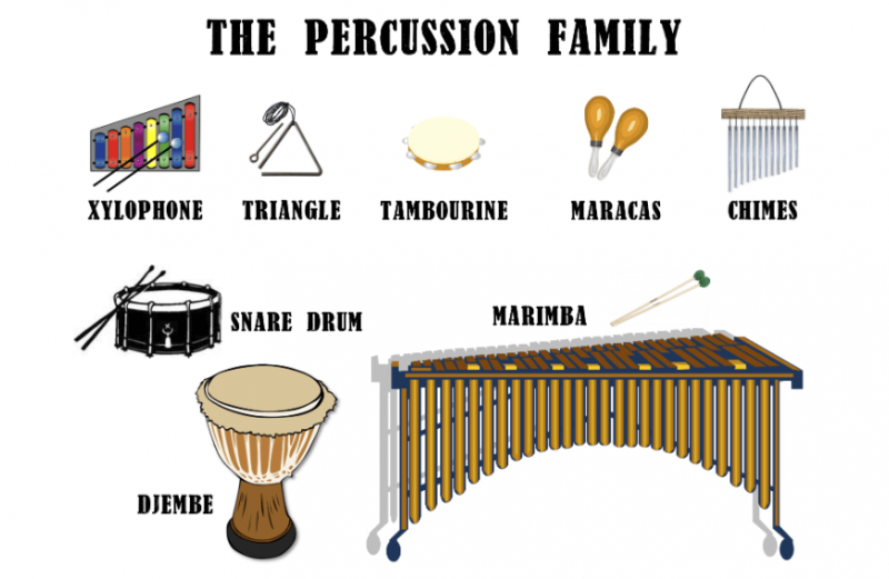 Percussion Family of Instruments: What instruments are in the