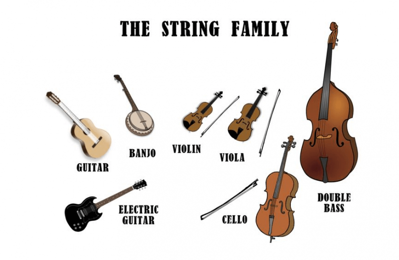 music family